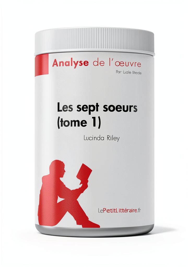 Installing Les sept soeurs French Kindle Study Guide by LePetitLitteraire 30pg on a wooden desk