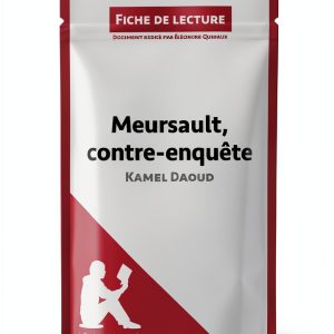 French Literary Criticism eBook – lePetitLitteraire.fr 29‑Page Guide-0