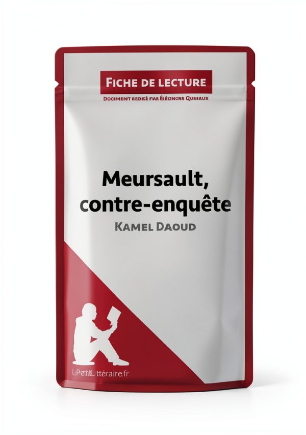 French Literary Criticism eBook – lePetitLitteraire.fr 29‑Page Guide-0