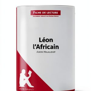 French Literary Criticism eBook – lePetitLitteraire.fr Kindle-0