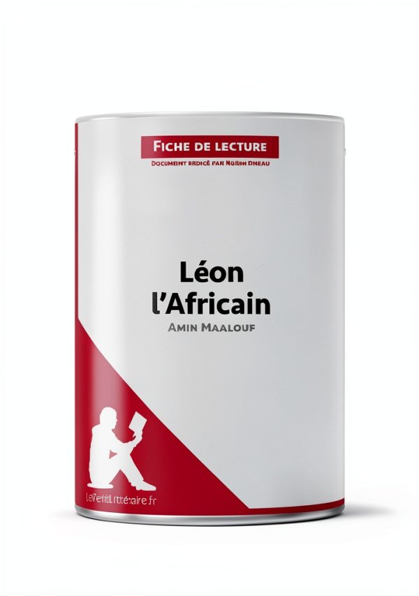 French Literary Criticism eBook – lePetitLitteraire.fr Kindle-0