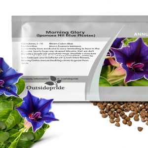 Outsidepride Blue Picotee Morning Glory Seeds - 50 Pcs. Annual, Climbing & Vining Flower Seeds for Planting Large Star-Shaped Blue Blooms, Ideal for Gardens, Trellises & Vertical Landscapes-0