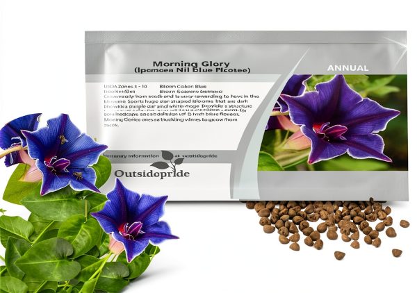 Outsidepride Blue Picotee Morning Glory Seeds - 50 Pcs. Annual, Climbing & Vining Flower Seeds for Planting Large Star-Shaped Blue Blooms, Ideal for Gardens, Trellises & Vertical Landscapes-0
