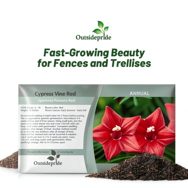 Outsidepride Red Cypress Vine Seeds - 100 Pcs Annual Flower Seeds for-3