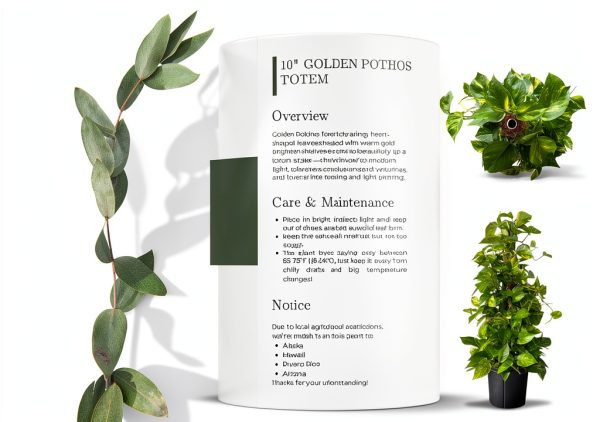 Golden Pothos Totem Live Plant – Andersen Farms 10in Grower Pot-4