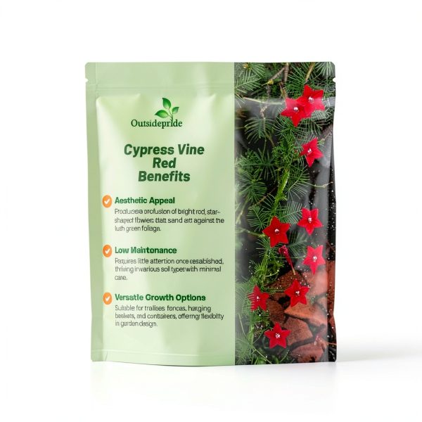 Outsidepride Red Cypress Vine Seeds - 100 Pcs Annual Flower Seeds for-2