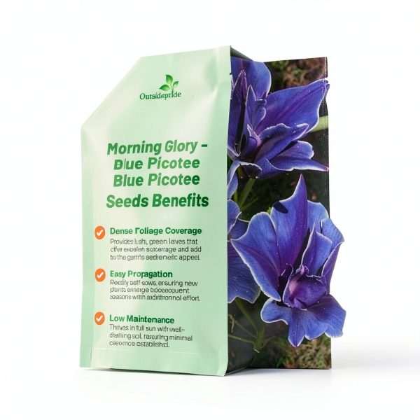 Outsidepride Blue Picotee Morning Glory Seeds - 50 Pcs. Annual, Climbing & Vining Flower Seeds for Planting Large Star-Shaped Blue Blooms, Ideal for Gardens, Trellises & Vertical Landscapes-2