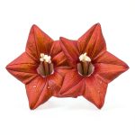 Outsidepride Red Cypress Vine Seeds - 100 Pcs Annual Flower Seeds for-0