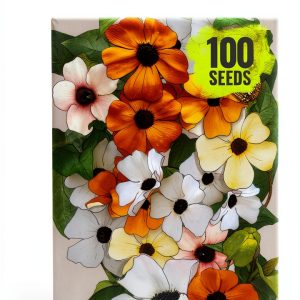 Seed Needs Black-Eyed Susan Vine Seeds - 100 Heirloom Thunbergia alata-0