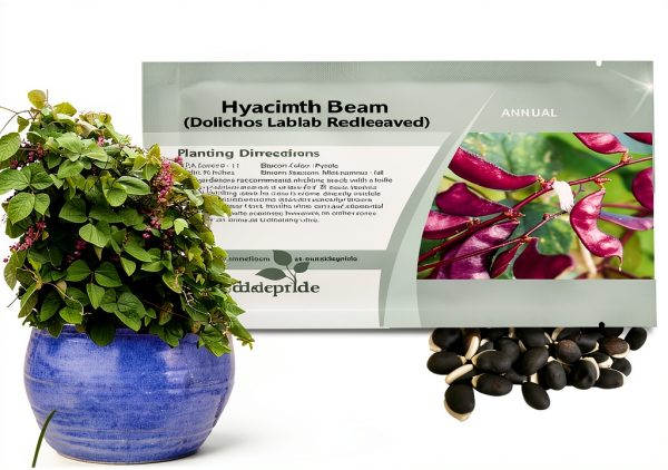 Outsidepride Red Lablab Hyacinth Bean Vine Seeds - 100 Pcs Perennial, Fast Growing Vegetable Seeds for Planting with Fragrant Foliage for Garden & Edible Flower and Pods for Culinary Uses-0